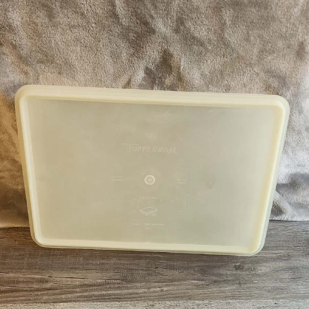 Vintage Tupperware Container